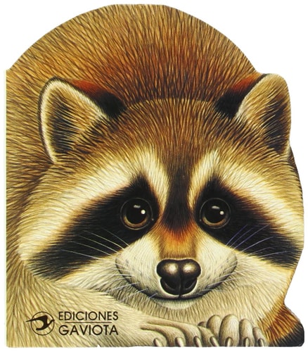 Un Mapache en el Rio