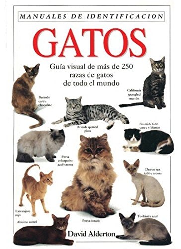 Gatos