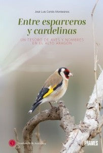 Entre Esparveros y Cardelinas: Un Tesoro de Aves y Nombres en el Alto Aragón