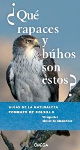 Que Rapaces y Buhos Son Estos