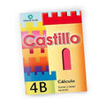 Calculo N 4b Castillo