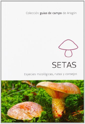 Setas. Especies Micológicas, Rutas y Consejos