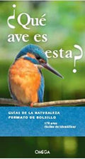 Que Ave es Esta